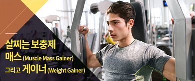 살찌는보충제 매스(Mascle Mass Gainer) 그리고 게이너(Weight Gainer)
