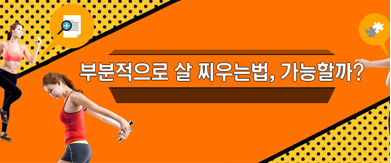 부분적으로 살 찌우는 법, 가능할까?