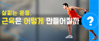 살찌는 운동, 근육은 어떻게 만들어질까