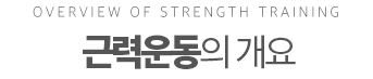 What's strength trainging 근력운동이란?