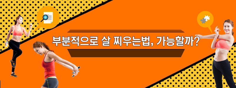 부분적으로 살 찌우는법, 가능할까?