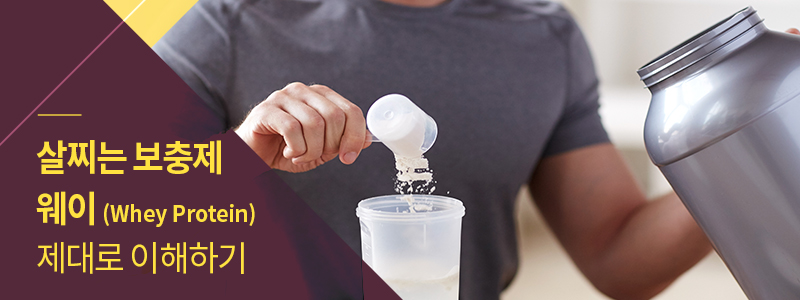 살찌는 보충제 웨이(Whey Protein) 제대로 이해하기