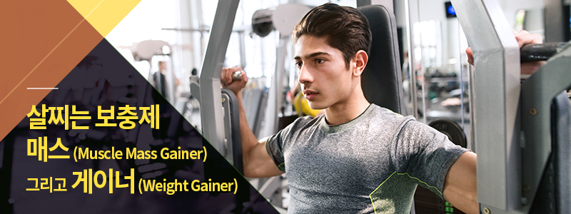 살찌는 보충제 매스(Muscle Mass Gainer) 그리고 게이너(Weight Gainer)