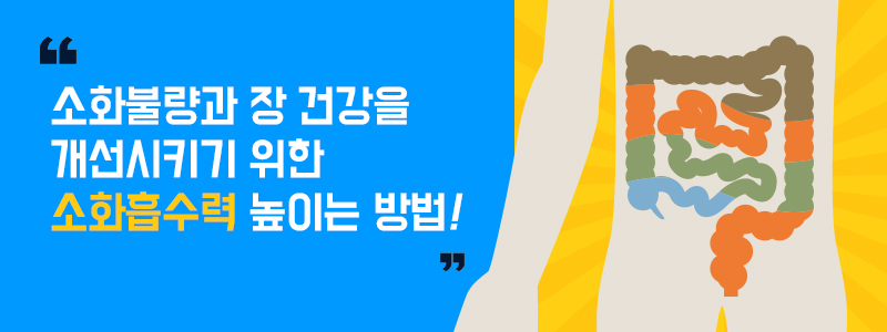 소화불량과 장 건강을 개선시키기 위한 소화흡수력 높이는 방법!