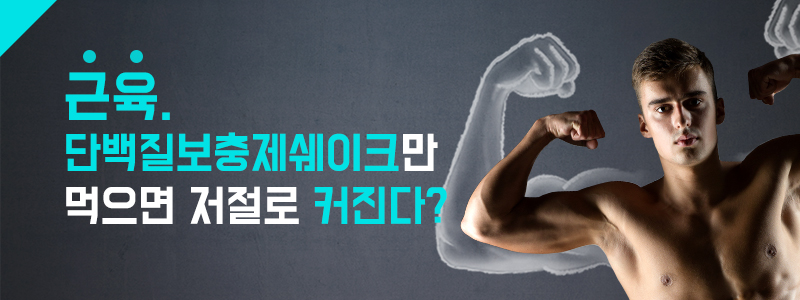 근육. 단백질보충제쉐이크만 먹으면 저절로 커진다?