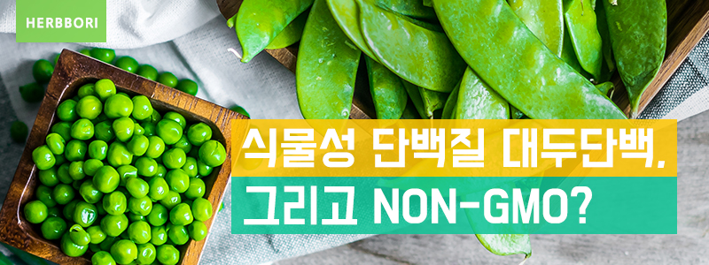 식물성 단백질 대두단백, 그리고 NON-GMO?